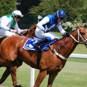 Balap Kuda Sebagai Olahraga Tertua di Dunia